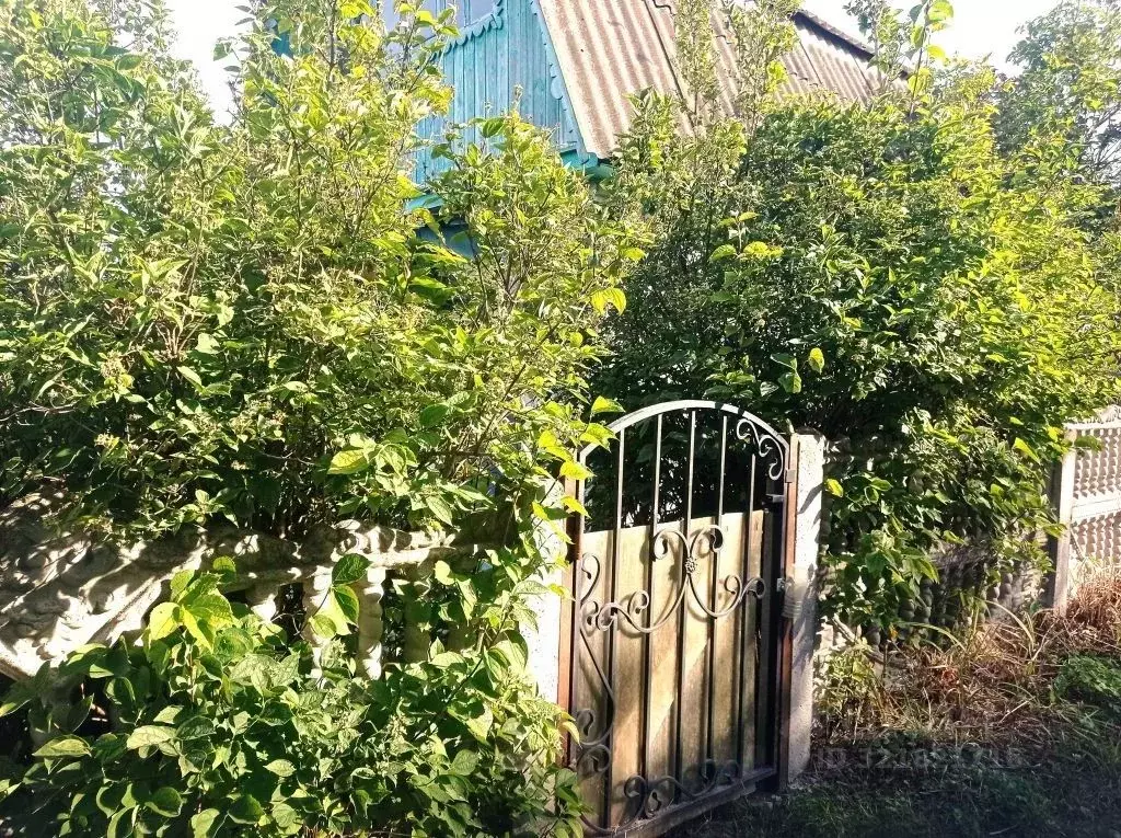 Дом в Брянская область, Фокино Мичуринец-4 СНТ,  (25 м) - Фото 1