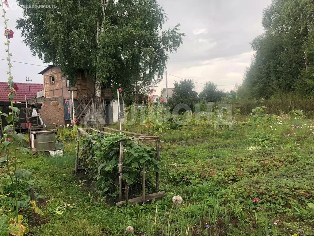 Участок в Новосибирский район, Верх-Тулинский сельсовет, садовое ... - Фото 1