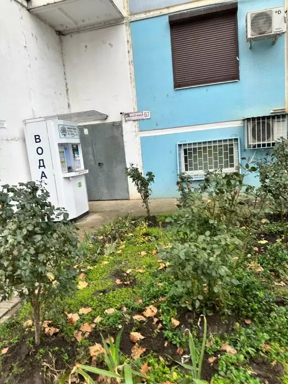 Помещение свободного назначения в Краснодарский край, Краснодар ... - Фото 1