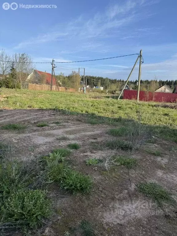 Участок в Ленинградская область, Гатчинский муниципальный округ, СНТ ... - Фото 2