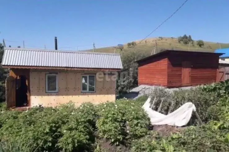 Дом в Алтай, Майминский район, с. Кызыл-Озек Вахтинская ул., 53 (16 м) - Фото 1