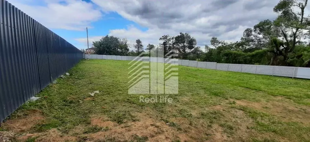 Участок в Московская область, Чехов муниципальный округ, д. Ивино ул. ... - Фото 1