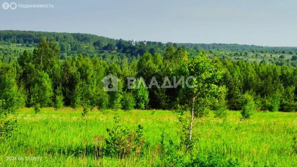 Участок в Вязниковский район, муниципальное образование Октябрьское, ... - Фото 0