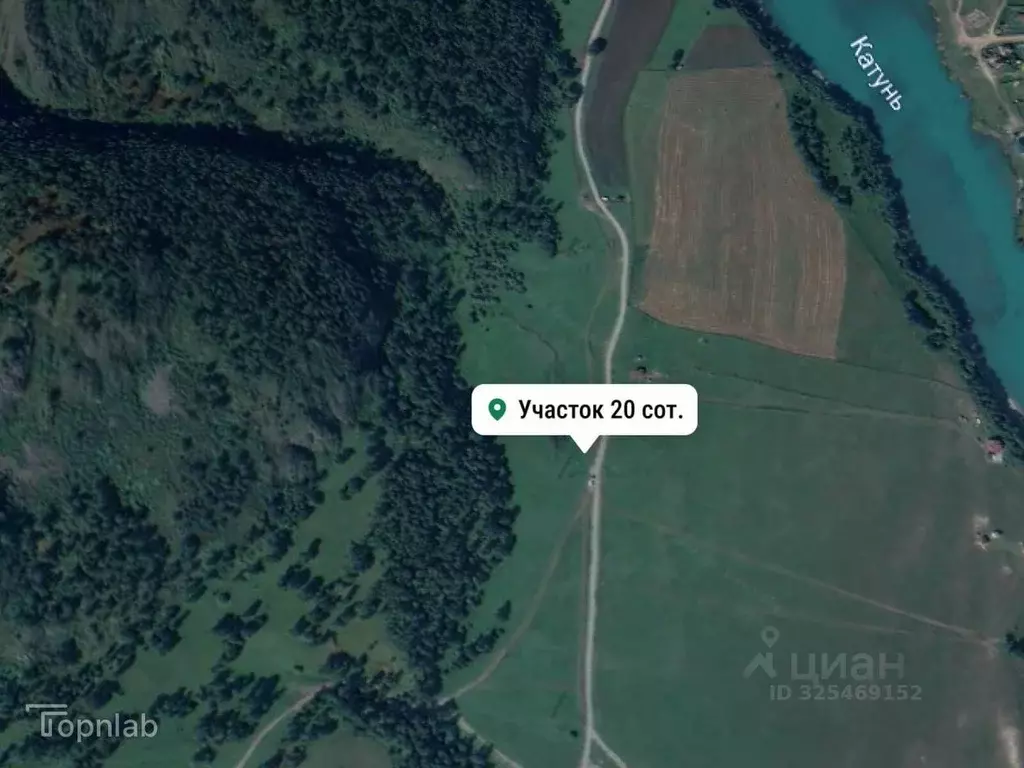 Участок в Алтай, Чемальский район, с. Аюла Центральная ул. (20.0 сот.) - Фото 2