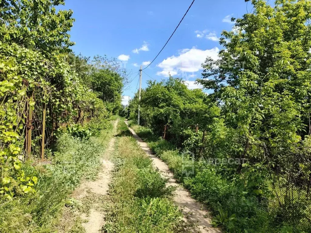 Участок в Волгоградская область, Волгоград Наука СНТ,  (6.2 сот.) - Фото 0
