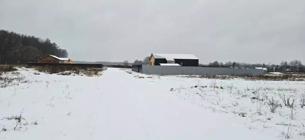 Участок в Московская область, Чехов городской округ, Новое Жальское кп ... - Фото 0