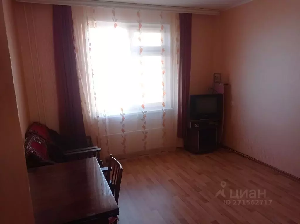 1-к кв. Нижегородская область, Нижний Новгород ул. Спутника, 38 (32.0 ... - Фото 1