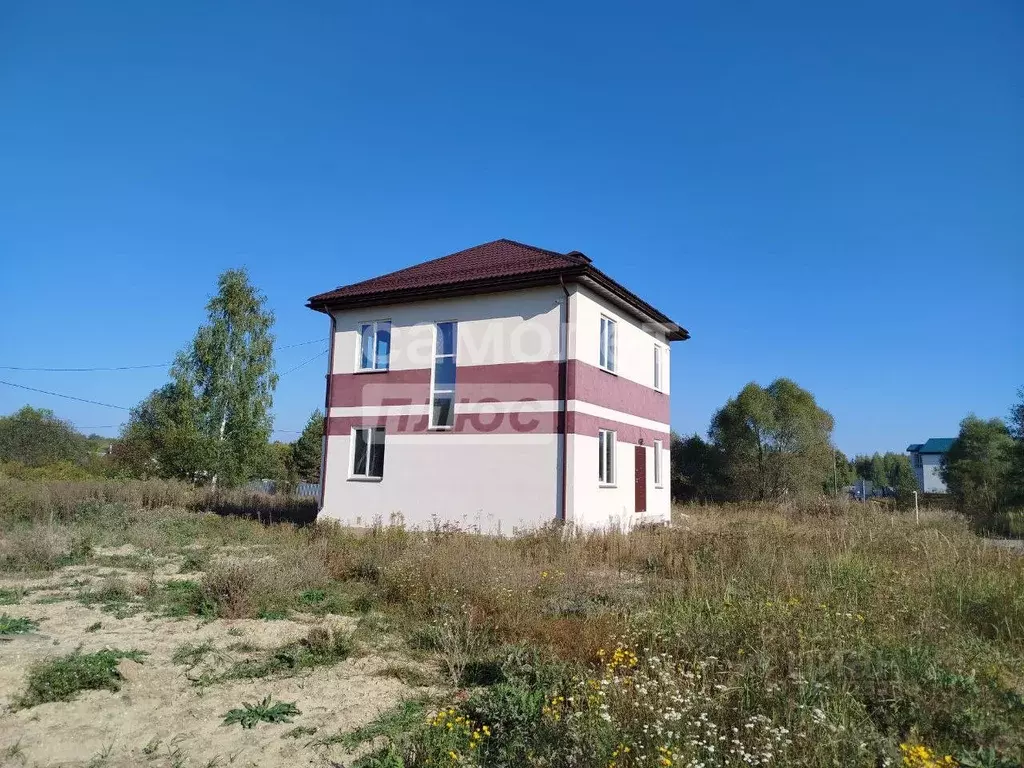 Дом в Пензенская область, Бессоновский район, с. Лопатки Песочная ул., ... - Фото 2