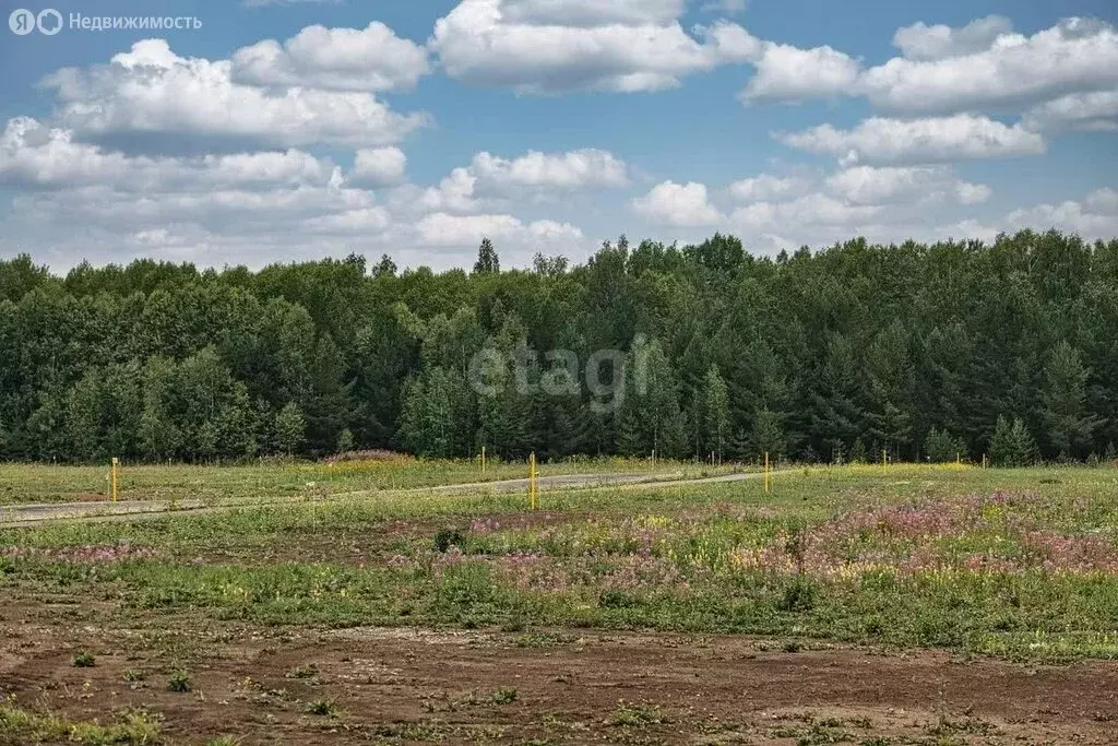 Участок в Ярославский муниципальный округ, Туношенское сельское ... - Фото 0