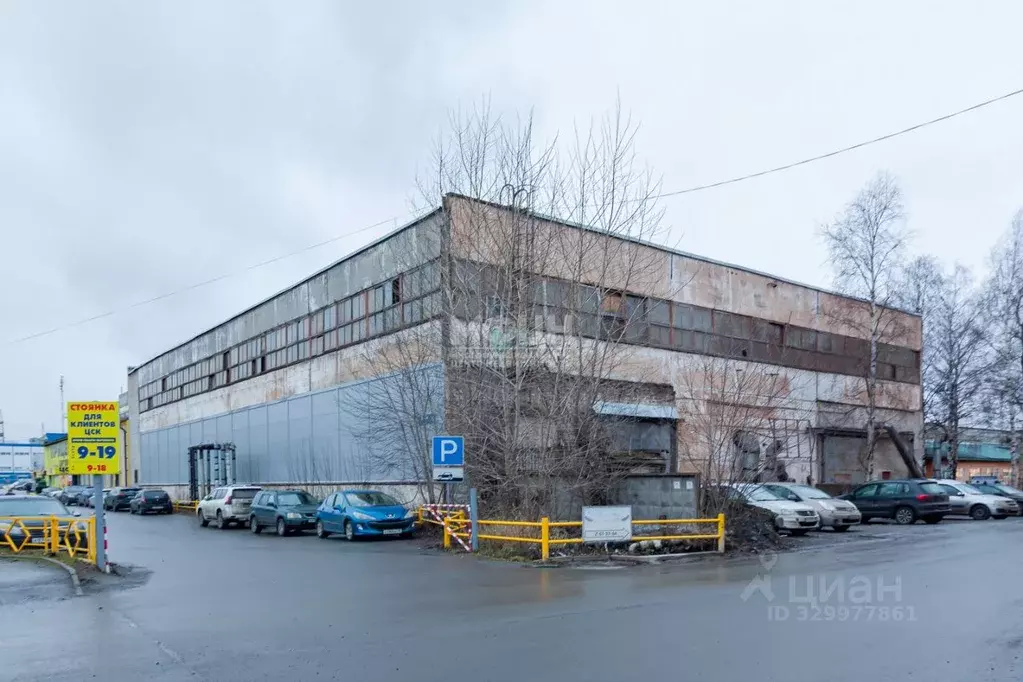 Помещение свободного назначения в Карелия, Петрозаводск Заводская ул., ... - Фото 1