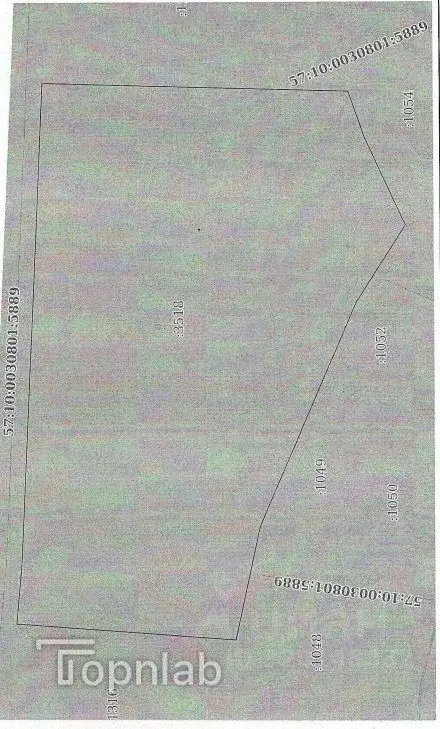 Участок в Орловская область, Орловский район, д. Образцово ул. ... - Фото 2