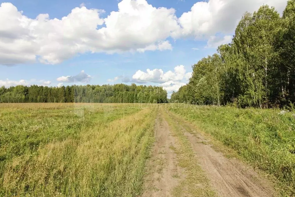 Участок в Тюменская область, Тюменский район, с. Кулига, Кулига-2 мкр  ... - Фото 1