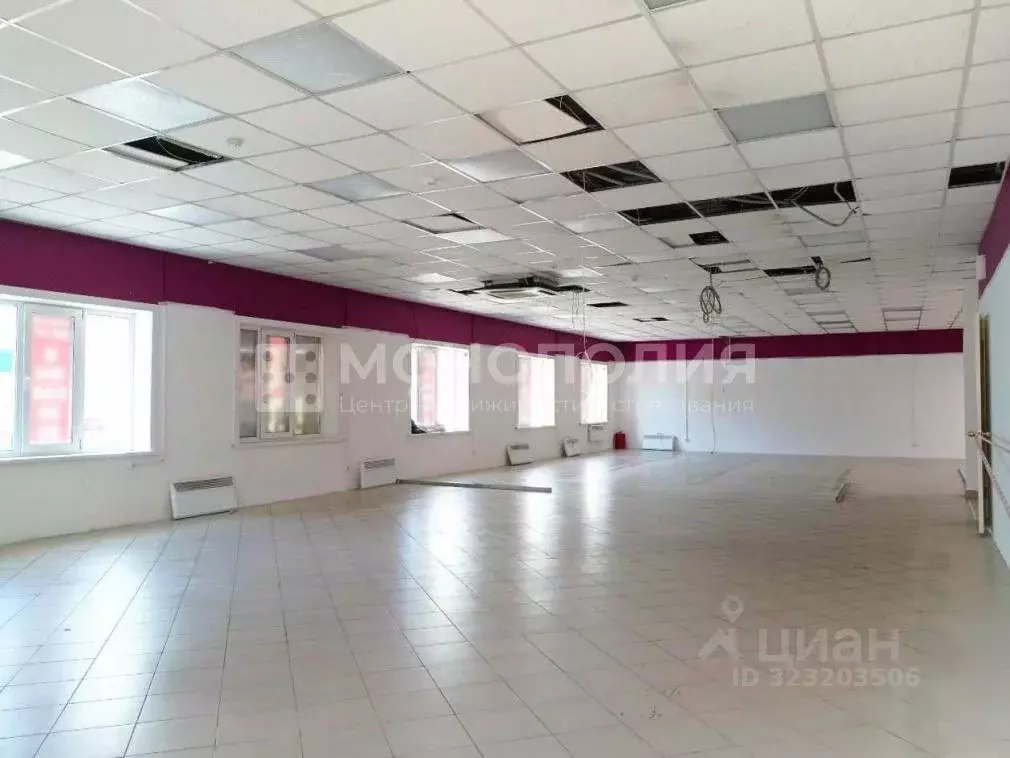 Торговая площадь в Амурская область, Белогорск ул. Скорикова, 17Г (280 ... - Фото 2