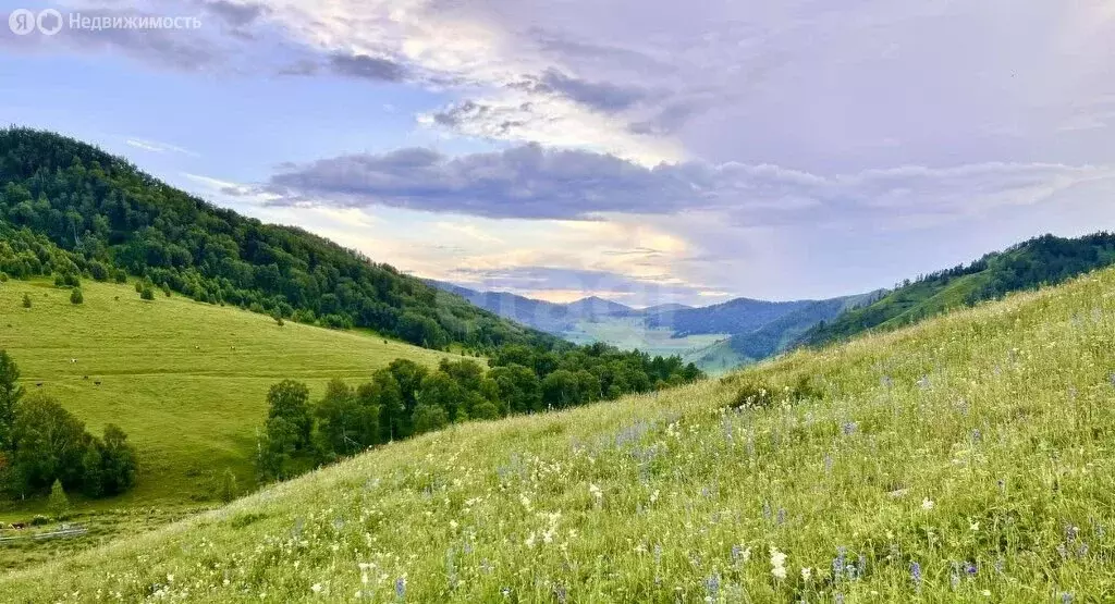 Участок в село Шебалино, Сёминская улица (44290 м) - Фото 1