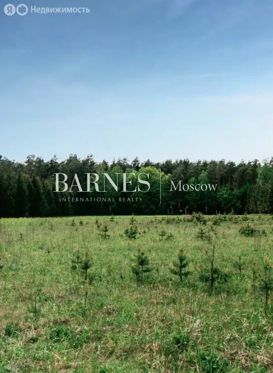 Участок в Одинцовский городской округ, деревня Раздоры (180 м) - Фото 1