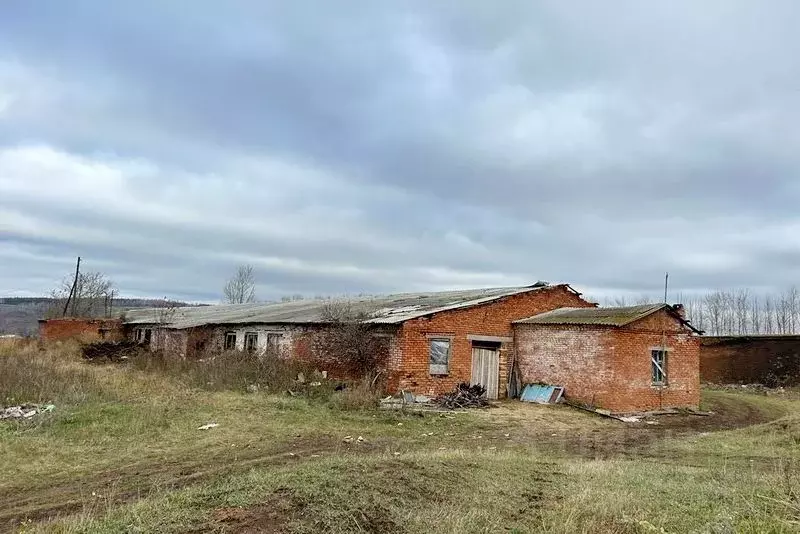 Производственное помещение в Башкортостан, Ермекеевский район, с. ... - Фото 0