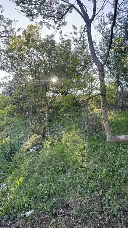 Участок в Крым, Ялта городской округ, Никита пгт ул. Имени Героя ... - Фото 0