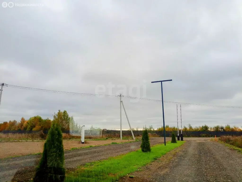 Участок в Ярославская область, Тутаевский муниципальный округ, деревня ... - Фото 2