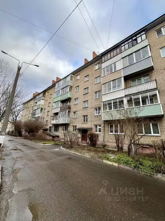 2-к кв. Московская область, Ногинск Богородский городской округ, ул. ... - Фото 1