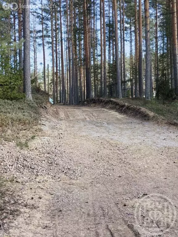 Участок в посёлок Сосново, Шушенская улица, 13 (9 м) - Фото 1