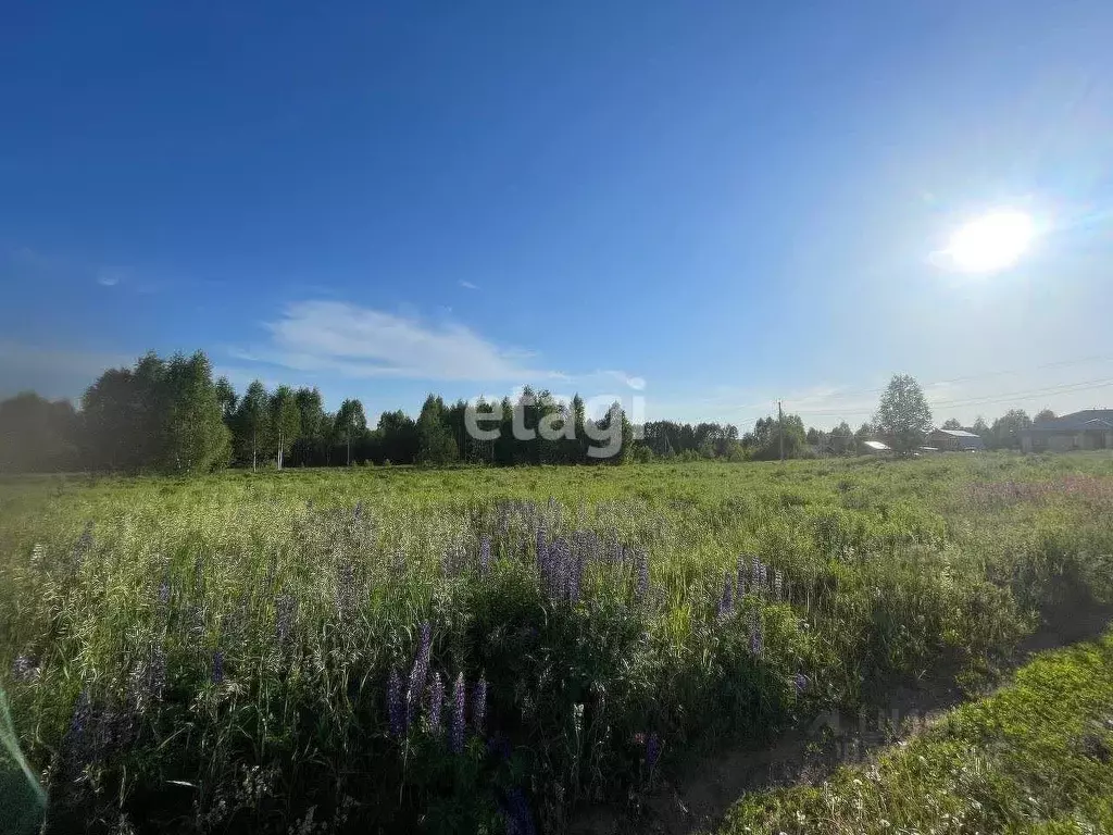 Участок в Удмуртия, Завьяловский район, д. Старые Кены  (8.0 сот.) - Фото 0