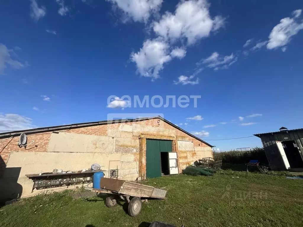 Склад в Курская область, Фатежский район, Большежировский сельсовет, ... - Фото 2