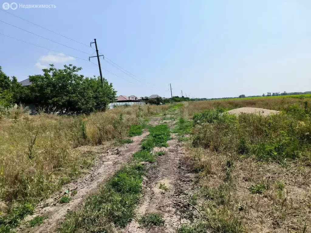 Участок в Новотитаровское сельское поселение, территория Нива (260 м) - Фото 1