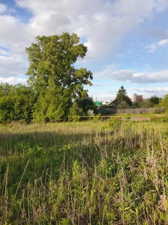 Дом в Новосибирская область, Новосибирск 2-я Ракитная ул. (33 м) - Фото 1