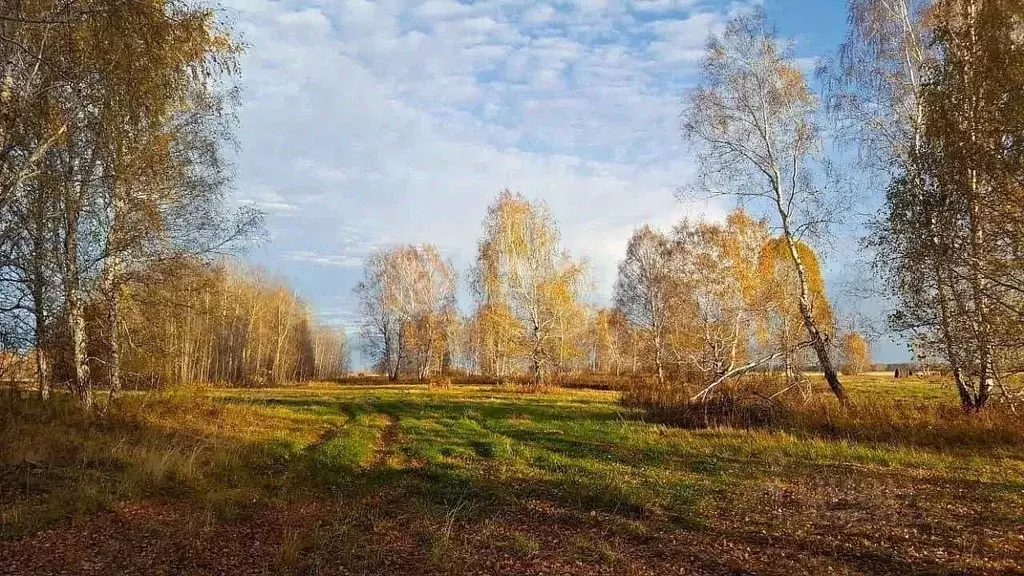 Участок в Алтайский край, Крутихинский район, с. Крутиха  (15.0 сот.) - Фото 1