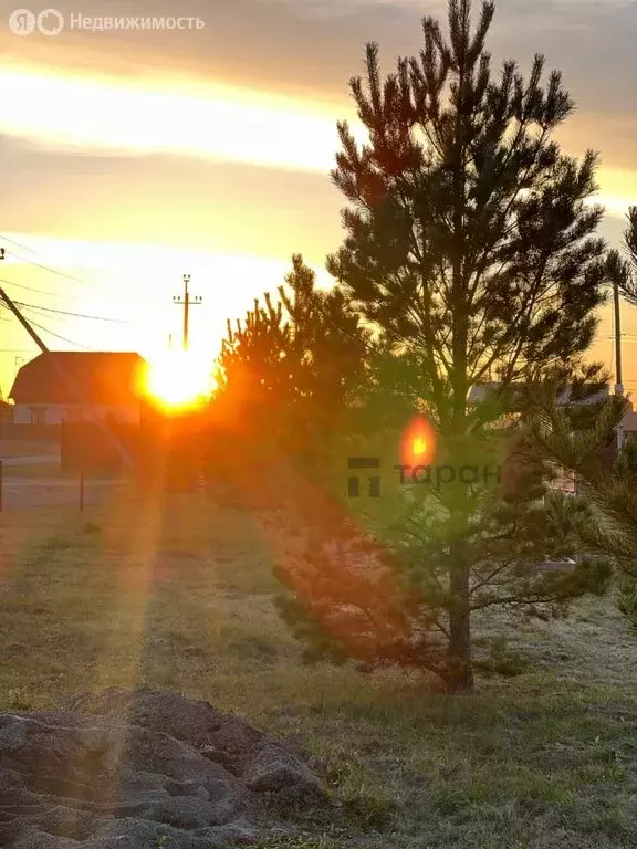 Участок в Челябинская область, Аргаяшский муниципальный округ, посёлок ... - Фото 2