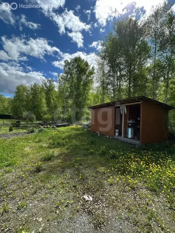 Участок в Курган, садоводческое некоммерческое товарищество ... - Фото 0