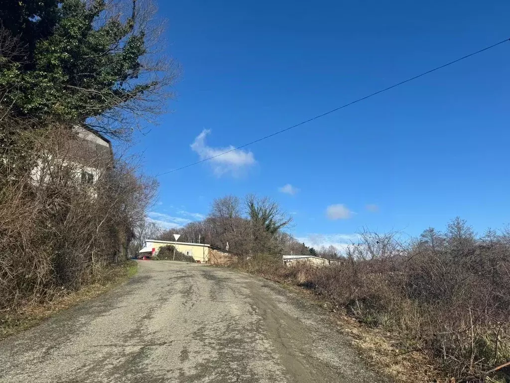 Участок в Краснодарский край, Сочи городской округ, с. Сергей-Поле ул. ... - Фото 1