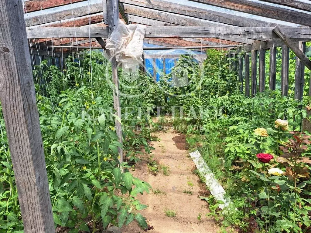 Дом в Сахалинская область, Корсаковский городской округ, с. Третья ... - Фото 1