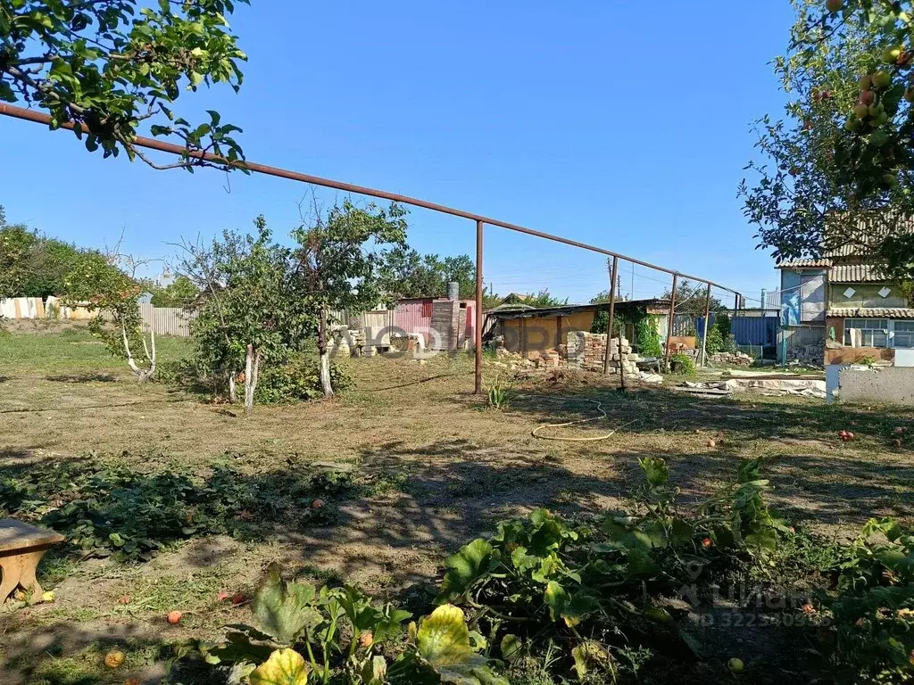 Дом в Саратовская область, с. Синенькие ул. Школьная, 36 (93 м) - Фото 1
