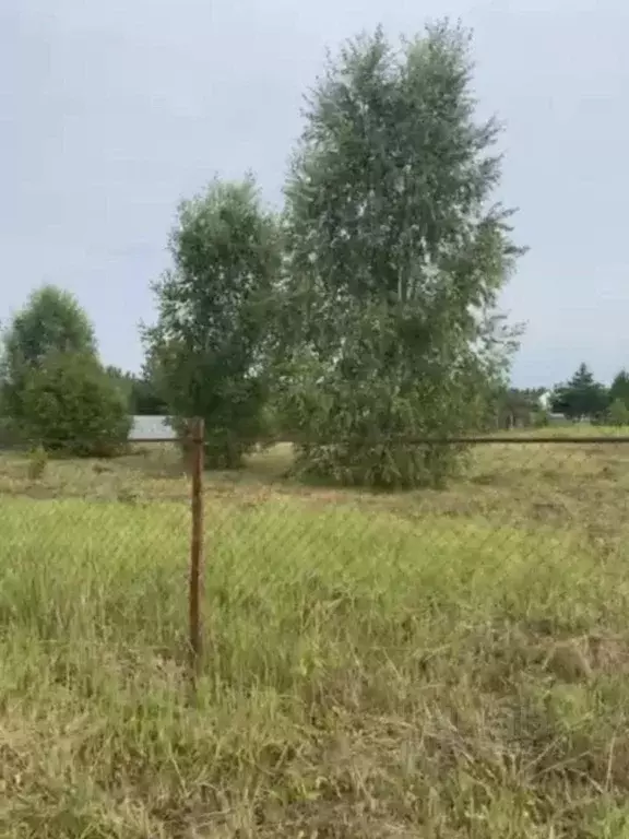 Участок, 8 сот., сельхоз (снт или днп) - Фото 1