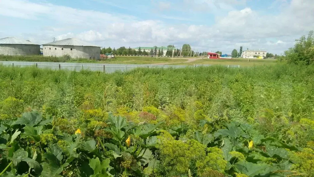 Погода кармасане уфимский. Кармасан Уфимский район. МУСП Совхоз Кармасан Уфимский район. Деревня Кармасан. Кармасанская школа Уфимский район.