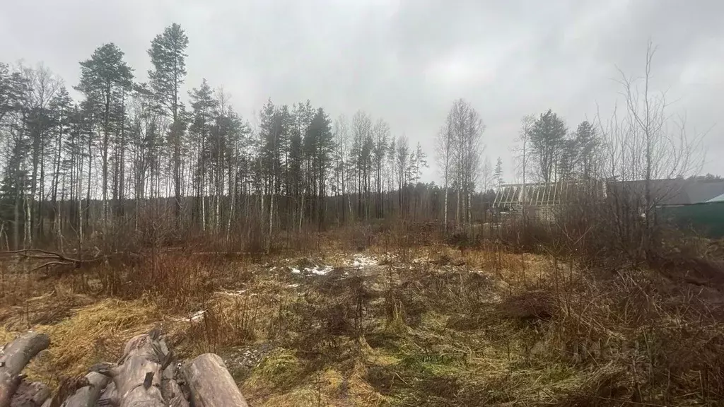 Участок в Ленинградская область, Приозерский район, пос. Мичуринское ... - Фото 0