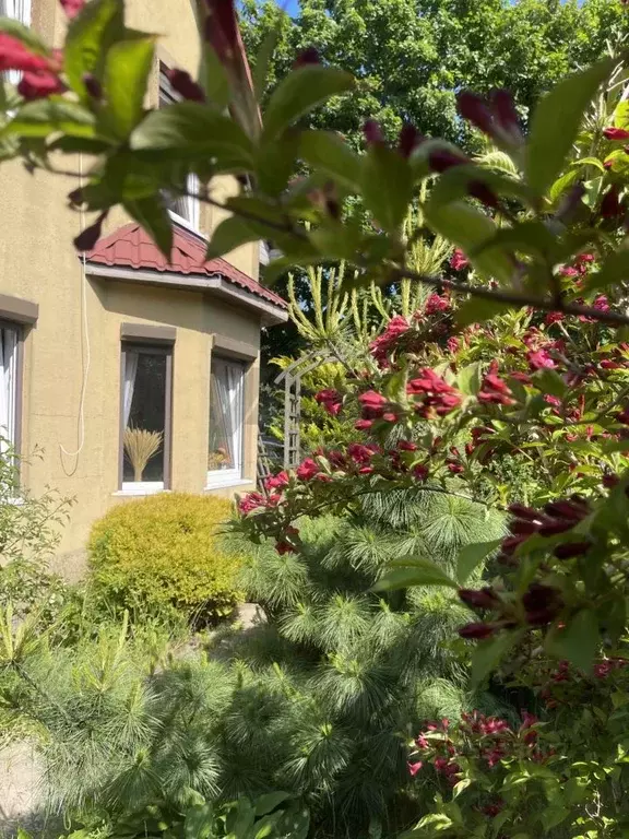 Дом в Калининградская область, Балтийск Балтийская Дружба СНТ, ул. 4-я ... - Фото 1