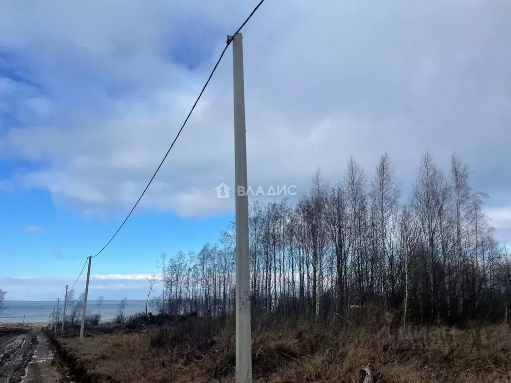Участок в Ярославская область, Рыбинский муниципальный округ, д. ... - Фото 1