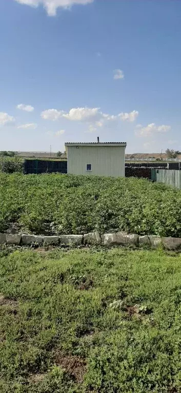 Участок в Хакасия, Абакан Аскизский Тракт дачный район, ул. Новая (6.0 ... - Фото 1