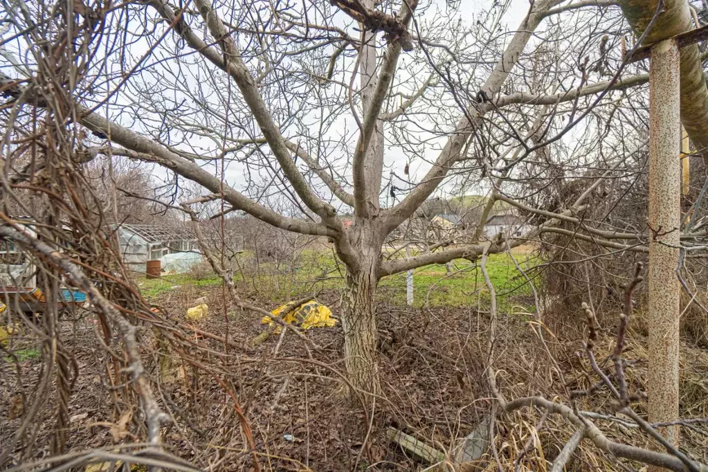 Участок в Севастополь с. Вишневое, ул. Качинская, 53 (6.9 сот.) - Фото 1