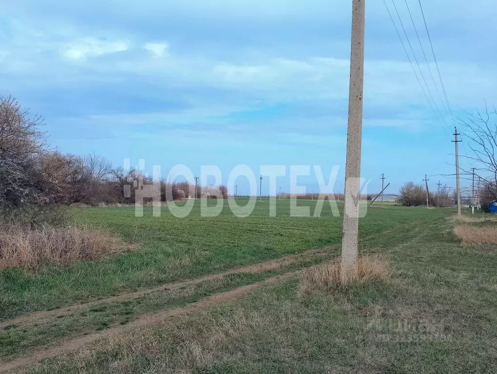 Участок в Краснодарский край, Каневской район, Челбасское с/пос, ... - Фото 1