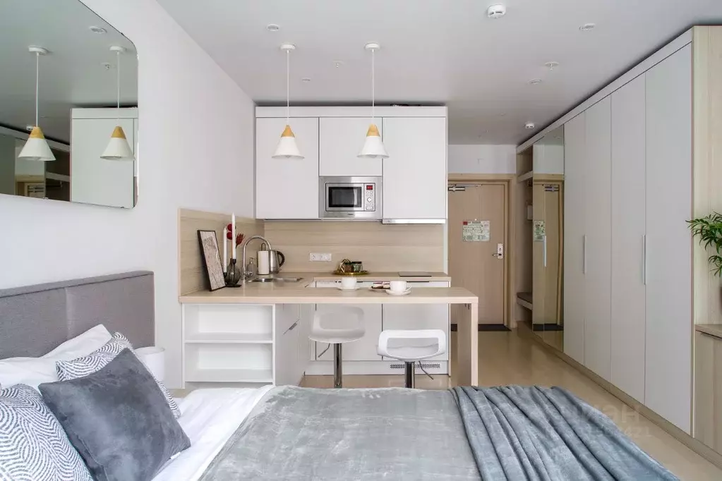 Студия Санкт-Петербург Социалистическая ул., 21 (26.6 м) - Фото 1