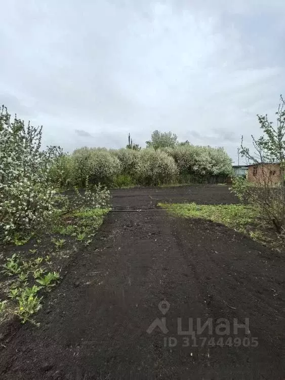 Дом в Омская область, Омский район, Дружинское с/пос, Северянка СНТ ... - Фото 0