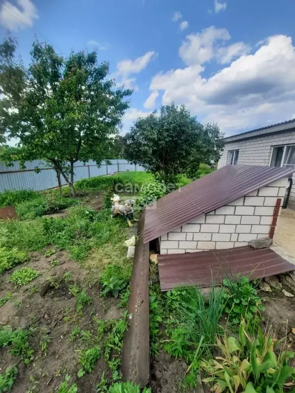 Дом в Воронежская область, Рамонский район, с. Горожанка  (85 м) - Фото 1