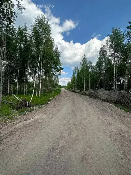 Участок в Кировский район, Мгинское городское поселение, деревня ... - Фото 0