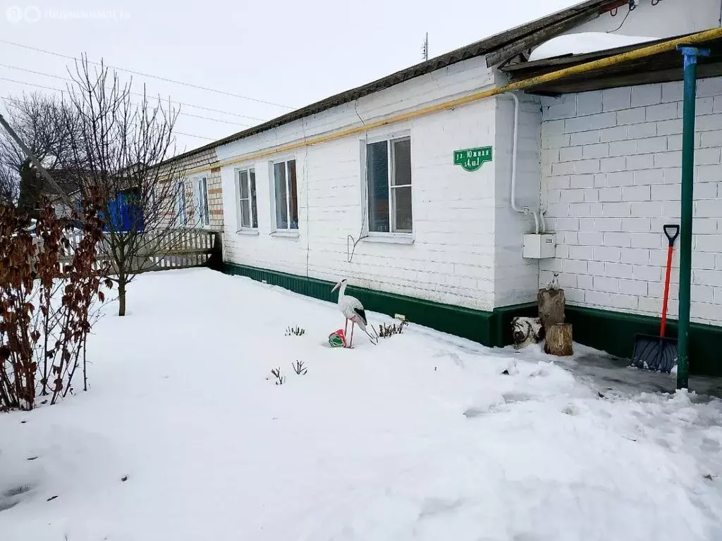 Дом в Октябрьский район, муниципальное образование Прямицыно, рабочий ... - Фото 1