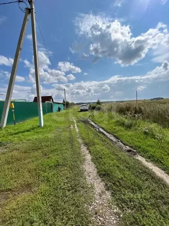 Участок в Курганская область, Кетовский муниципальный округ, с. Сычево ... - Фото 1