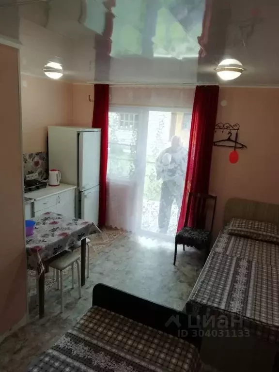 Дом в Алтайский край, Яровое Барнаульская ул., 53 (24 м) - Фото 1