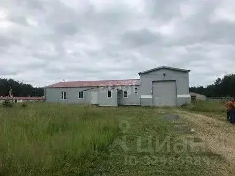 Склад в Калужская область, Юхновский муниципальный округ, Беляево ... - Фото 1